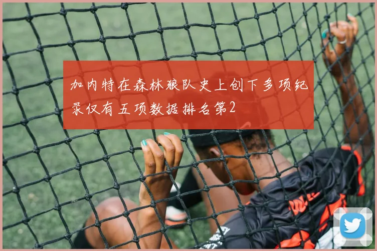 加内特在森林狼队史上创下多项纪录仅有五项数据排名第2