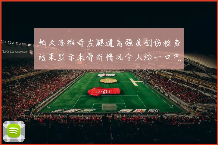 帕夫洛维奇左腿遭高强度创伤检查结果显示未骨折情况令人松一口气